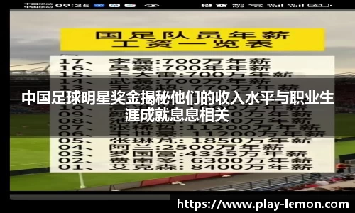 中国足球明星奖金揭秘他们的收入水平与职业生涯成就息息相关